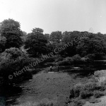 Fishing, River Wharfe, Harewood Bridge